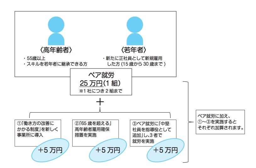 生涯現役スキル活用型雇用