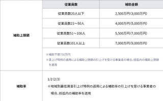 中小企業新事業進出補助金