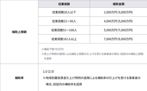 中小企業新事業進出補助金