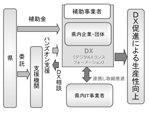 沖縄DX促進支援事業